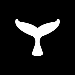orca-protocol logo