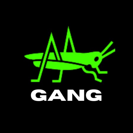 Air Gang Polygon logo